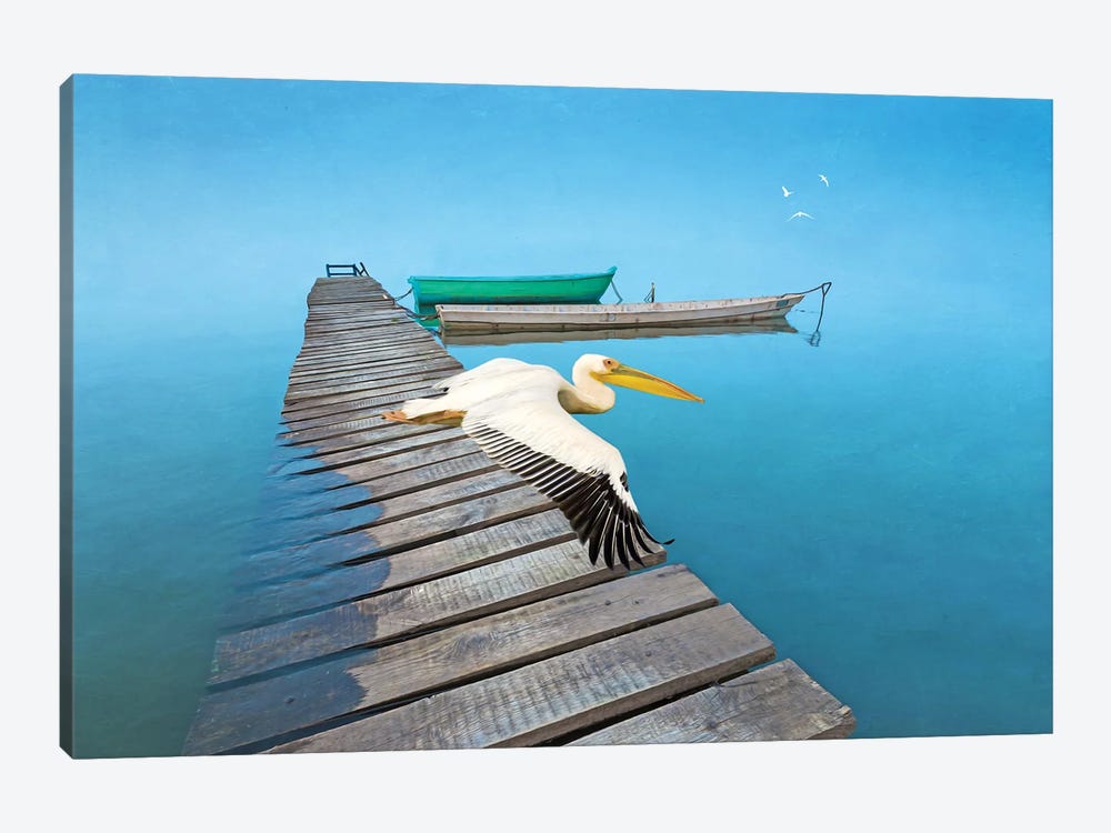 White Pelican At Old Dock by Laura D Young 1-piece Canvas Wall Art