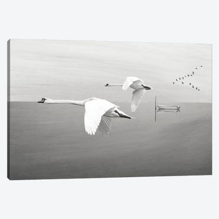 White Swans In Flight Over Mountain Lake Canvas Print #LDY193} by Laura D Young Art Print