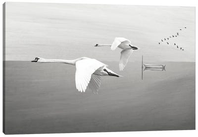 White Swans In Flight Over Mountain Lake Canvas Art Print - Laura D Young