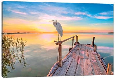 Great Blue Heron At Sunset Canvas Art Print - Sunrises & Sunsets Scenic Photography