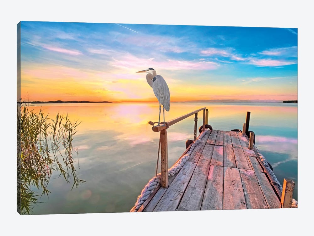 Great Blue Heron At Sunset by Laura D Young 1-piece Canvas Wall Art