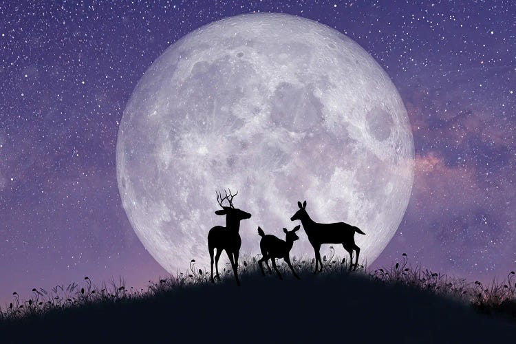 Deer Family At Night With Full Moon