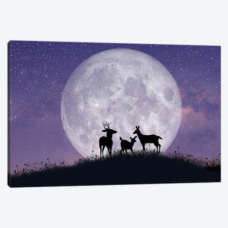 Deer Family At Night With Full Moon Canvas Print #LDY195} by Laura D Young Canvas Art