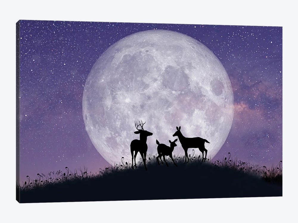 Deer Family At Night With Full Moon by Laura D Young 1-piece Canvas Print