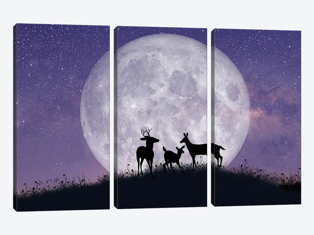 Deer Family At Night With Full Moon by Laura D Young 3-piece Canvas Art Print