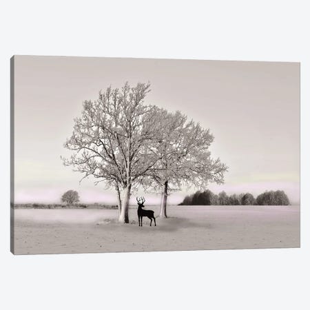 Deer In Winter Field With Spot Color Canvas Print #LDY197} by Laura D Young Canvas Artwork