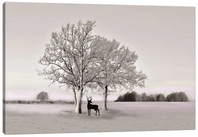 Deer In Winter Field With Spot Color Canvas Art Print - Laura D Young