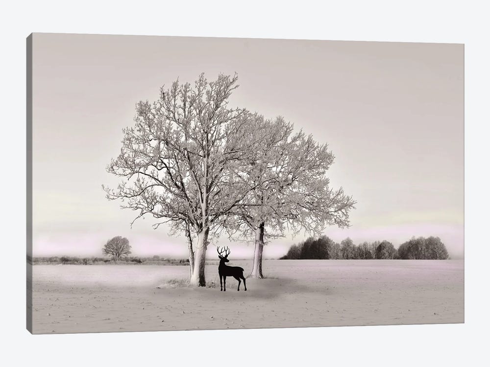 Deer In Winter Field With Spot Color by Laura D Young 1-piece Canvas Print