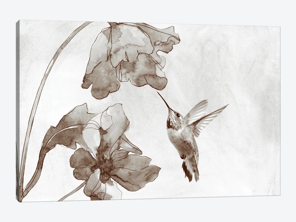 Hummingbird And Poppy Flowers Sepia Toned by Laura D Young 1-piece Canvas Wall Art