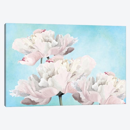 Pink Peony Flowers Canvas Print #LDY199} by Laura D Young Canvas Print