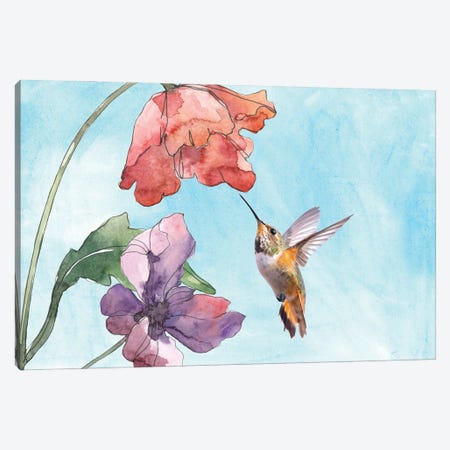 Hummingbird And Poppy Flowers Mixed Media Canvas Print #LDY200} by Laura D Young Canvas Art Print