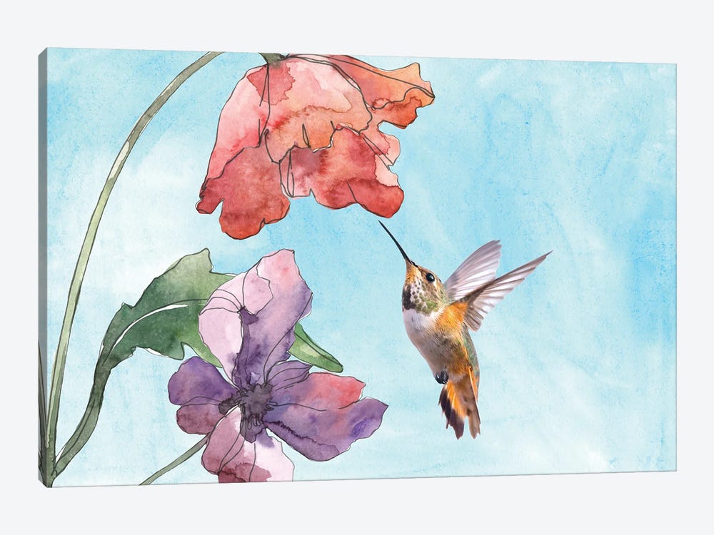 Hummingbird And Poppy Flowers Mixed Media by Laura D Young 1-piece Canvas Art Print