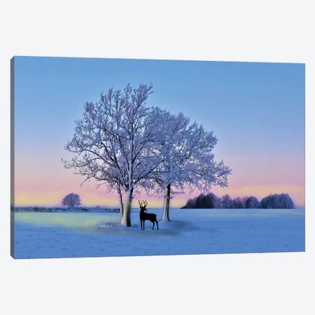 Deer In Winter Field At Sunset Canvas Print #LDY201} by Laura D Young Canvas Print