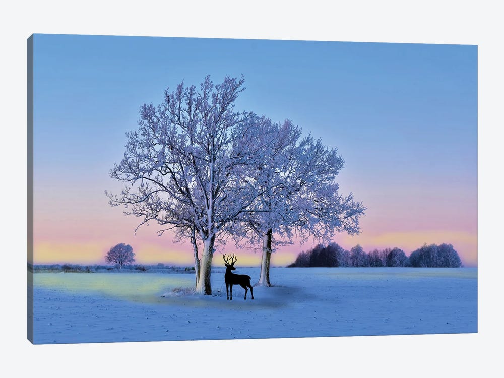 Deer In Winter Field At Sunset by Laura D Young 1-piece Canvas Artwork