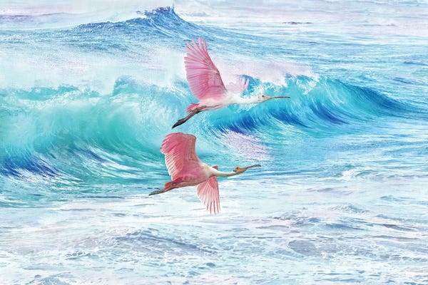 Mesmerizing Digital Artists: Two Spoonbills At The Ocean by Laura D Young