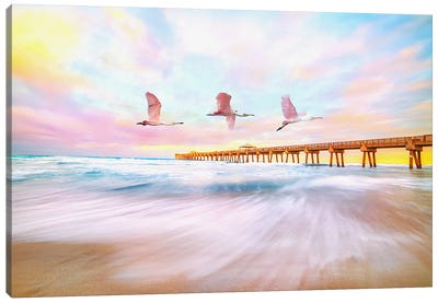 Roseate Spoonbills Flying To The Pier Canvas Art Print - Spoonbills