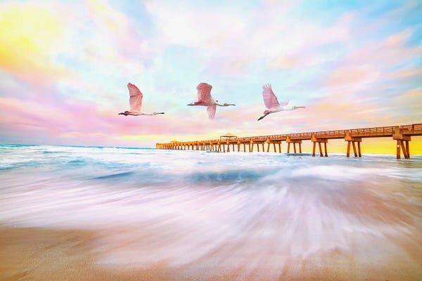 Laura D Young: Roseate Spoonbills Flying To The Pier by Laura D Young