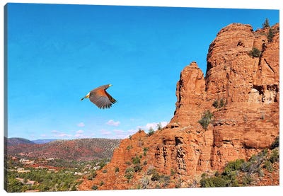 Red Shouldered Hawk At Sedona Canvas Art Print - Arizona Art