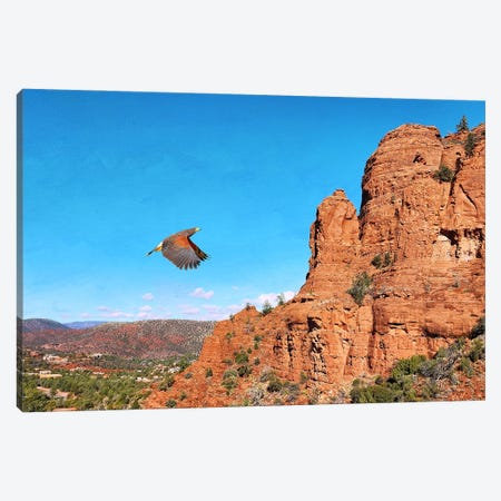 Red Shouldered Hawk At Sedona Canvas Print #LDY206} by Laura D Young Canvas Artwork