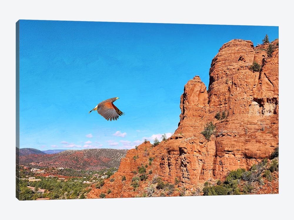 Red Shouldered Hawk At Sedona by Laura D Young 1-piece Canvas Art Print