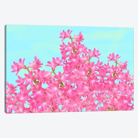 Pink Hyacinth Flower Arrangement Canvas Print #LDY208} by Laura D Young Canvas Print