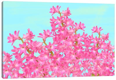 Pink Hyacinth Flower Arrangement Canvas Art Print - Laura D Young
