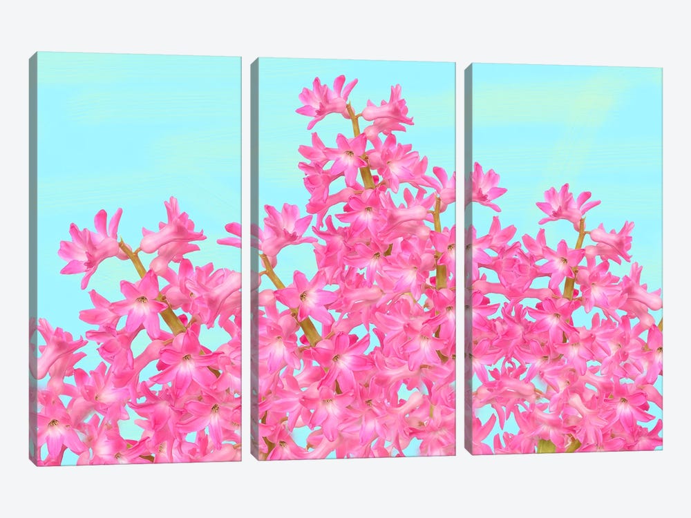 Pink Hyacinth Flower Arrangement by Laura D Young 3-piece Canvas Art Print