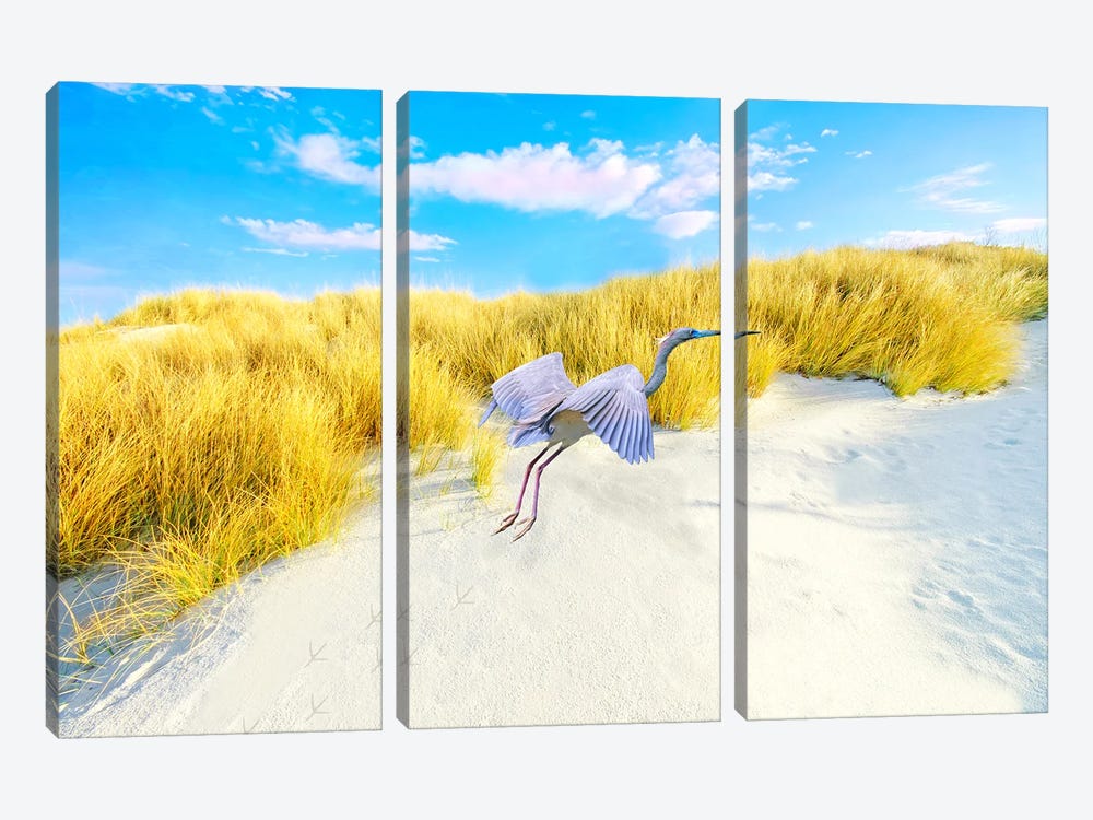 Little Blue Heron At Gulf Coast by Laura D Young 3-piece Canvas Wall Art