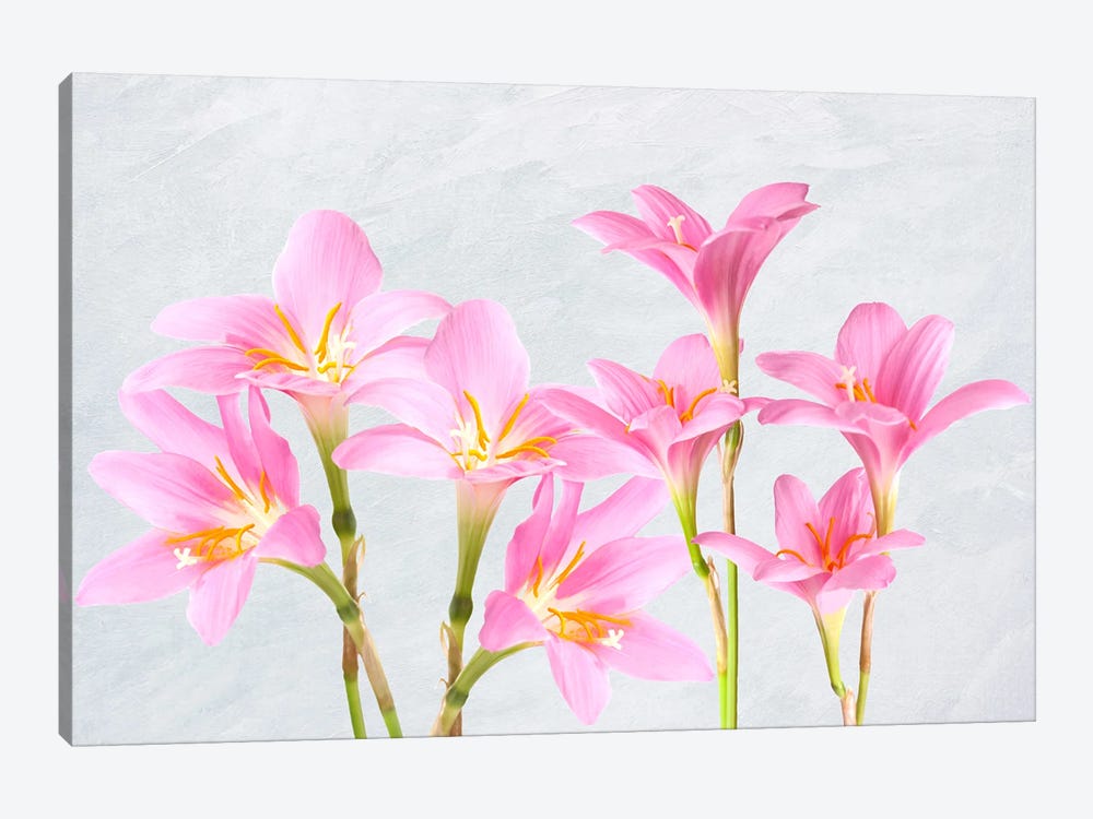 Pink Lily Flower Arrangement by Laura D Young 1-piece Canvas Art Print