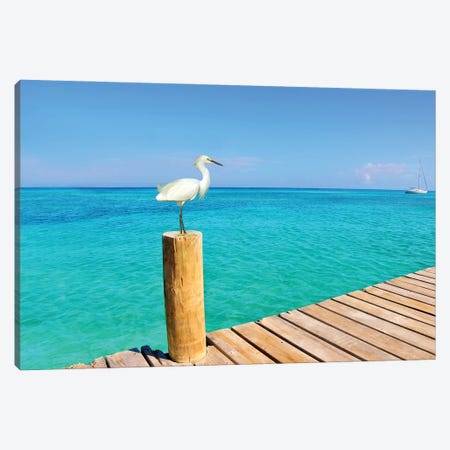 Snowy Egret At The Pier Canvas Print #LDY213} by Laura D Young Canvas Art