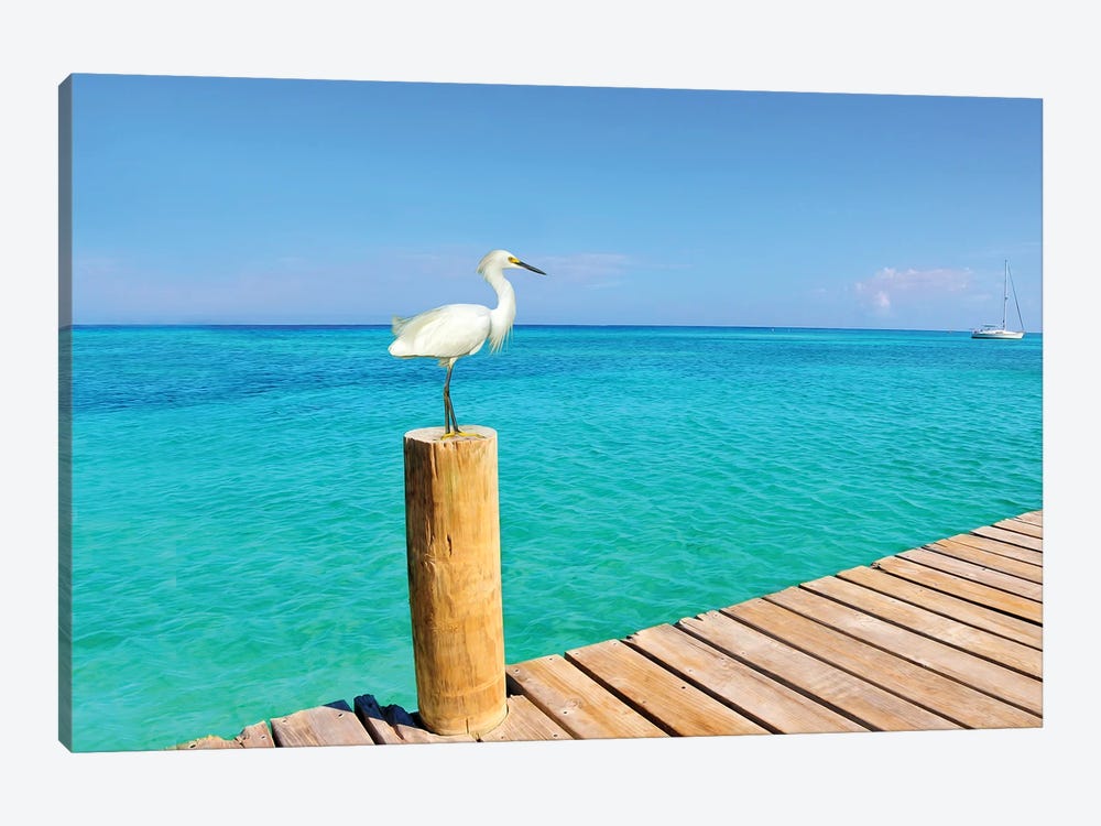Snowy Egret At The Pier by Laura D Young 1-piece Canvas Print