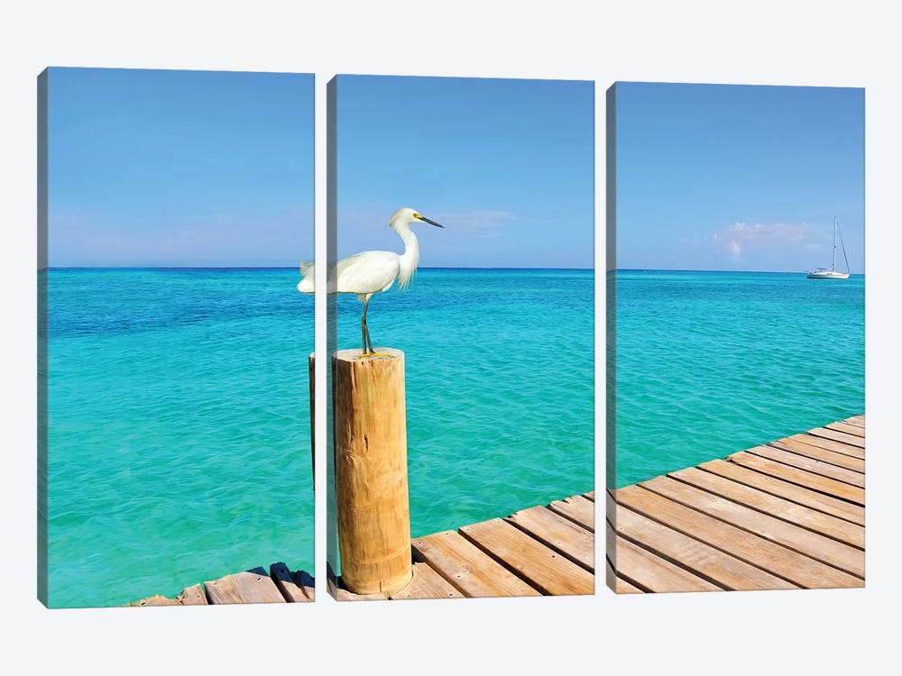Snowy Egret At The Pier by Laura D Young 3-piece Art Print