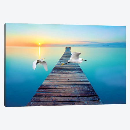 Great White Egrets At Sunset Canvas Print #LDY218} by Laura D Young Canvas Artwork