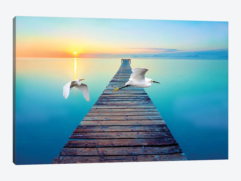 Great White Egrets At Sunset by Laura D Young 1-piece Canvas Art