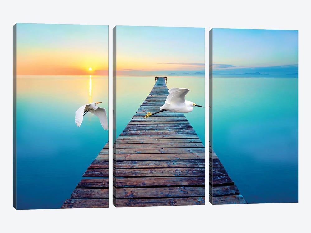 Great White Egrets At Sunset by Laura D Young 3-piece Canvas Art