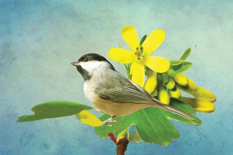 Carolina Chickadee And Yellow Flowers by Laura D Young wall art