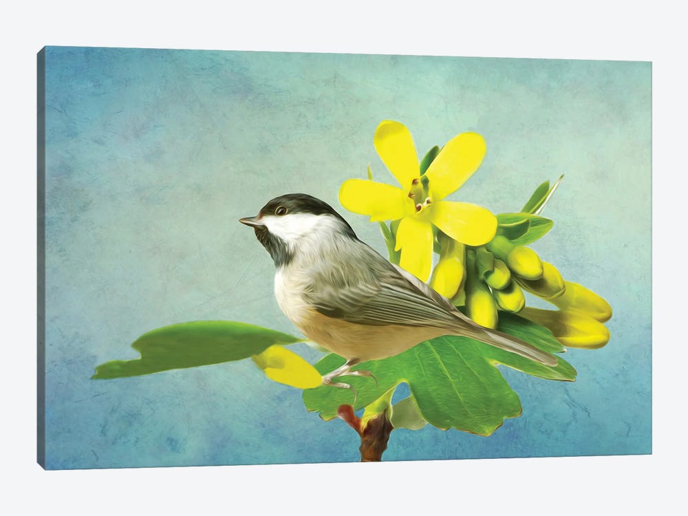 Carolina Chickadee And Yellow Flowers by Laura D Young 1-piece Art Print