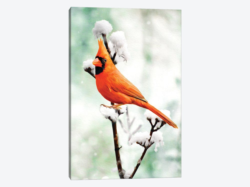 Northern Cardinal On Snowy Branch by Laura D Young 1-piece Art Print