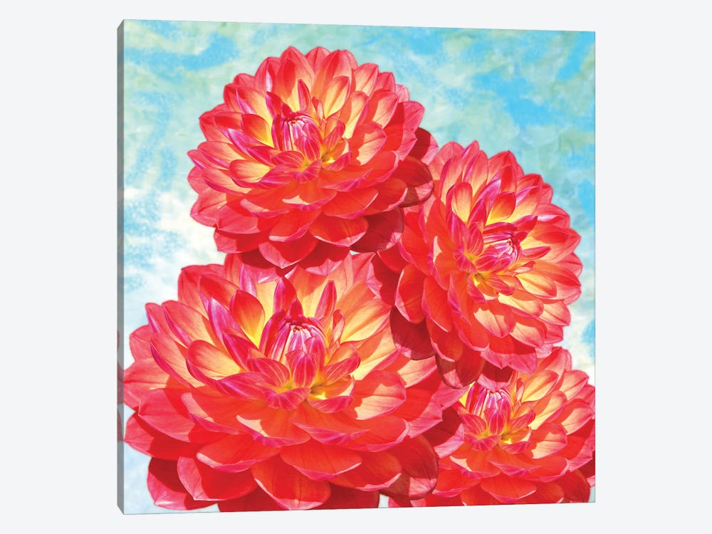 Orange Dahlia Flowers by Laura D Young 1-piece Canvas Artwork