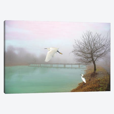 Snowy Egrets At Bridge Canvas Print #LDY27} by Laura D Young Canvas Art Print
