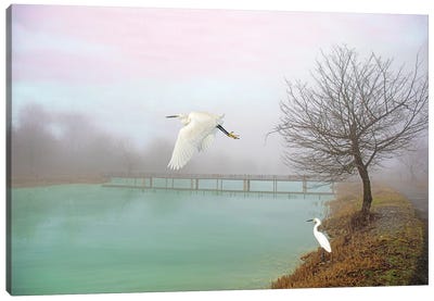 Snowy Egrets At Bridge Canvas Art Print - Laura D Young