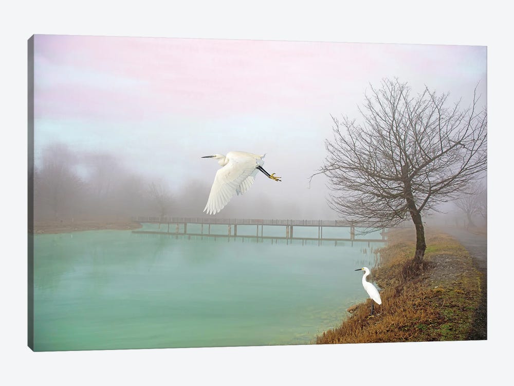 Snowy Egrets At Bridge by Laura D Young 1-piece Canvas Artwork