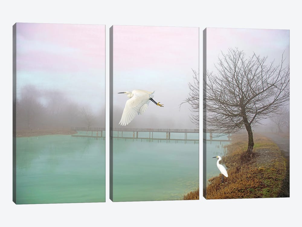 Snowy Egrets At Bridge by Laura D Young 3-piece Canvas Artwork