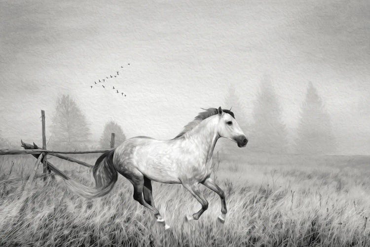 Gray Horse On A Gray Day Bw