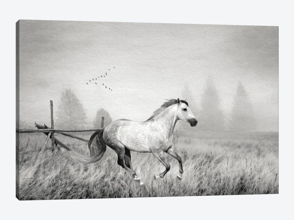Gray Horse On A Gray Day Bw by Laura D Young 1-piece Art Print