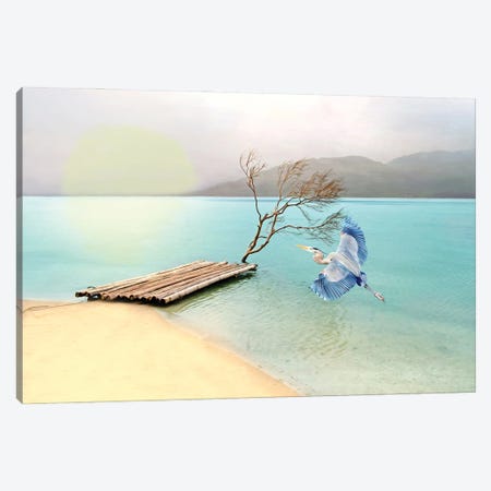 Great Blue Heron At Daybreak Canvas Print #LDY32} by Laura D Young Canvas Print