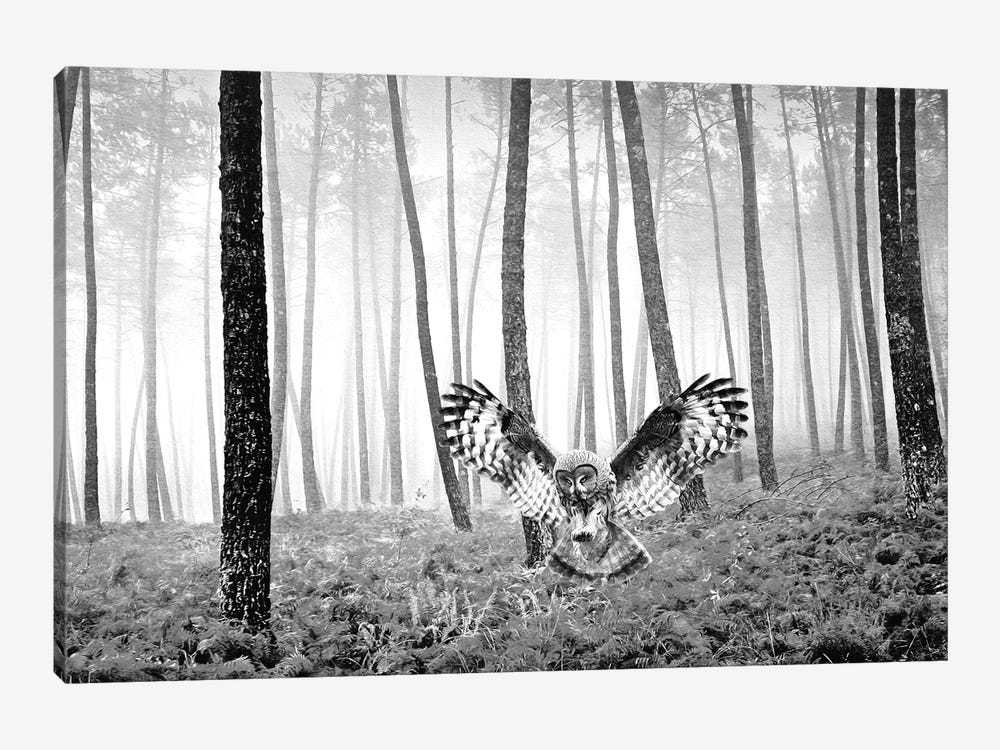 Great Gray Owl In Autumn Bw by Laura D Young 1-piece Art Print