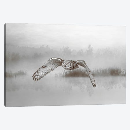 Great Horned Owl Over Misty Pond Canvas Print #LDY34} by Laura D Young Canvas Art