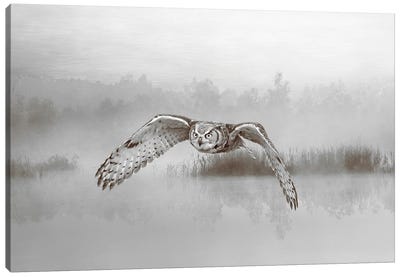Great Horned Owl Over Misty Pond Canvas Art Print - Laura D Young