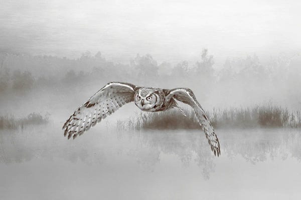 Laura D Young: Great Horned Owl Over Misty Pond by Laura D Young